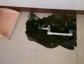红河卫生间测漏水多少钱